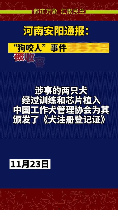 如何爆料社会新闻事件呢,如何成为事件的见证者与传播者