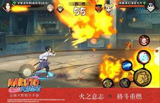 历代忍者爆料视频大全,历代忍者爆料视频大全集锦