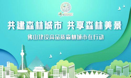 广州爆料新闻头条今天最新消息,突发事件引发全城关注