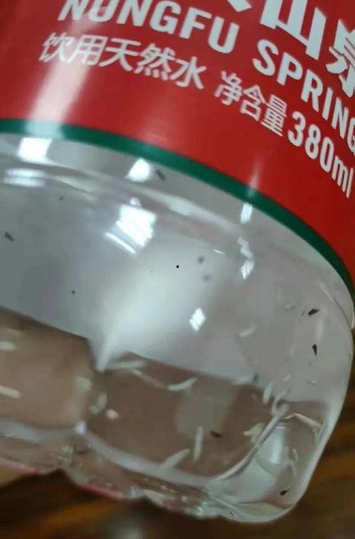 开封大茶缸爆料视频,一窥古都风华背后的故事 第3张 开封大茶缸爆料视频,一窥古都风华背后的故事 第3张