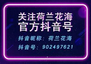 盐城抖音爆料事件最新情况,最新进展揭秘，真相逐步浮出水面
