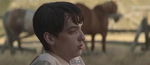种子电影在线观看,解锁影视世界的无限可能