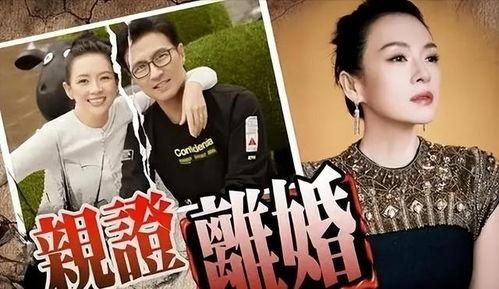 刘大锤最新爆料一览视频,揭秘娱乐圈幕后真相  第2张