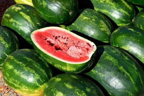 辽源吃瓜爆料视频大全,揭秘当地热点事件  第2张