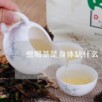 喝茶爆料最新视频大全,喝茶爆料最新视频大盘点