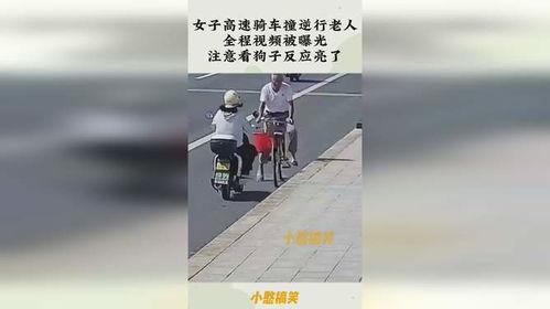 广东老人逆行爆料视频,现场直击，真相令人震惊！