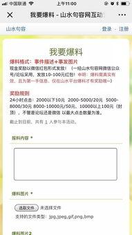如何发新闻爆料文章,如何撰写引人关注的爆料文章 第3张 如何发新闻爆料文章,如何撰写引人关注的爆料文章 第3张