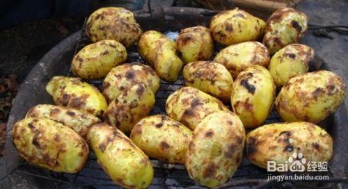 户外土豆爆料视频大全,揭秘田间地头那些事儿 第3张 户外土豆爆料视频大全,揭秘田间地头那些事儿 第3张