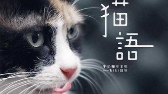 猫之城最新爆料视频网,最新爆料视频带你探秘神秘猫界 第3张 猫之城最新爆料视频网,最新爆料视频带你探秘神秘猫界 第3张