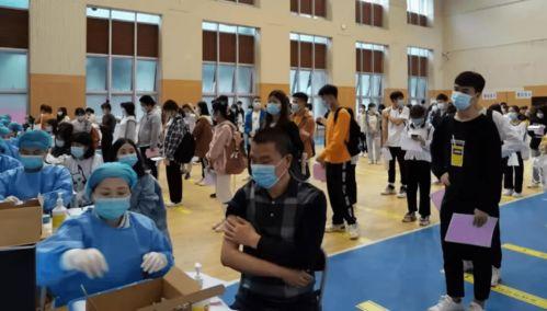 石家庄南营爆料最新消息,揭秘事件背后真相 第2张 石家庄南营爆料最新消息,揭秘事件背后真相 第2张