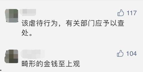 网红吃瓜视频账号大全,揭秘热门视频背后的秘密 第3张 网红吃瓜视频账号大全,揭秘热门视频背后的秘密 第3张