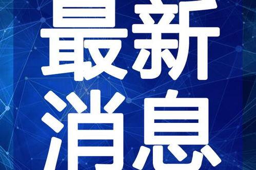 王阿姨深圳最新爆料视频,揭秘城市生活新动态