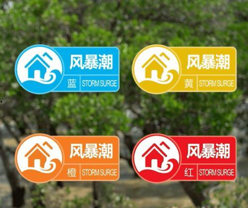 王阿姨深圳最新爆料视频,揭秘城市生活新动态 第3张 王阿姨深圳最新爆料视频,揭秘城市生活新动态 第3张