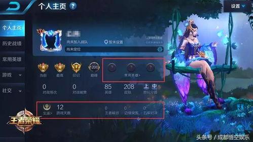 王者怎么看最新爆料信息,揭秘新英雄与版本更新亮点