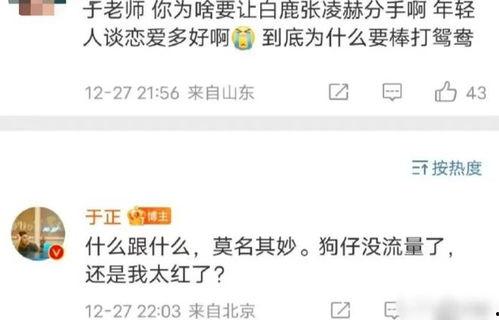 最新爆料白鹿张凌赫,甜蜜互动引网友热议  第2张