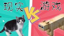 小七爆料游戏大全视频,揭秘游戏大全,热门游戏一网打尽! 第3张 小七爆料游戏大全视频,揭秘游戏大全,热门游戏一网打尽! 第3张