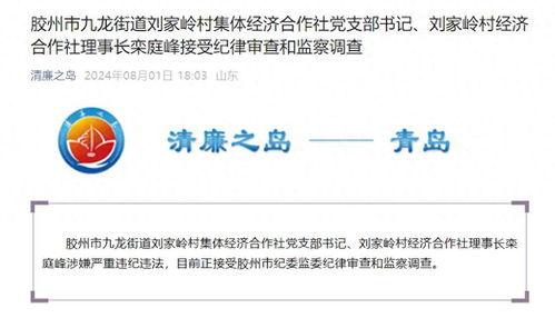 胶州最新爆料消息视频播放,视频揭秘惊人真相! 第3张 胶州最新爆料消息视频播放,视频揭秘惊人真相! 第3张