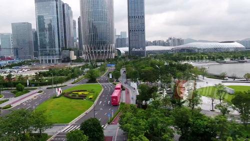 深圳湾网红最新爆料视频,揭秘网红圈幕后真相！  第3张