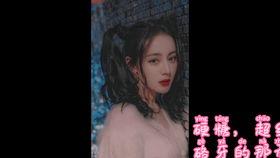 吃瓜小说娱乐圈完结文,瓜田里的甜蜜复仇  第3张