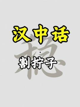 汉中今日头条新爆料,揭秘神秘事件背后的真相！  第2张