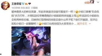 王者新衣服爆料最新版,王者新装亮相！揭秘最新版爆料中的神秘新衣服  第3张