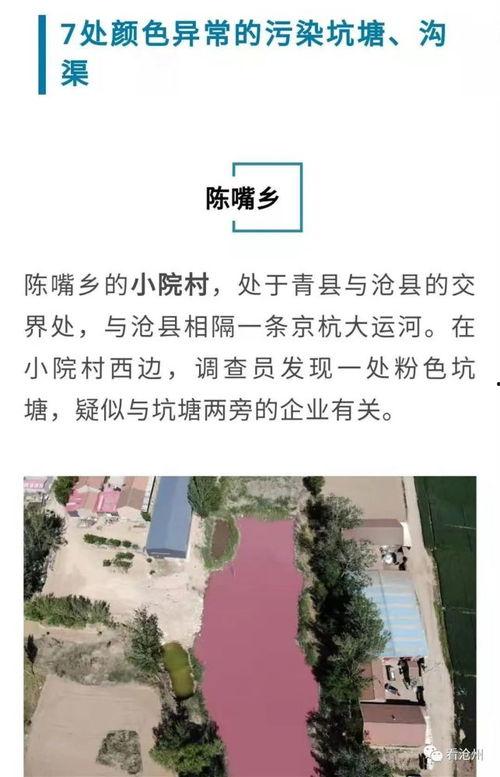 黑坑老陈爆料比赛视频,比赛视频背后的精彩瞬间 第2张 黑坑老陈爆料比赛视频,比赛视频背后的精彩瞬间 第2张