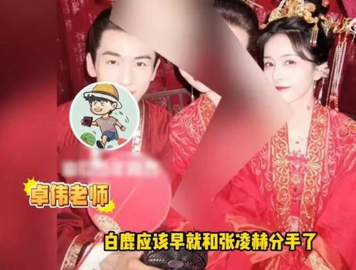 直播爆料白鹿事件视频播放,视频播放引发热议 第3张 直播爆料白鹿事件视频播放,视频播放引发热议 第3张