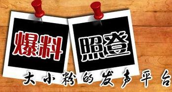 新闻大爆料策划,独家内幕，真相大白！