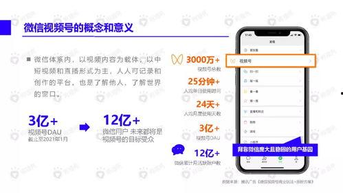小牛新品爆料视频下载,科技与时尚的完美融合 第3张 小牛新品爆料视频下载,科技与时尚的完美融合 第3张