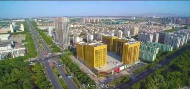 石河子大学爆料视频播放,揭秘校园内幕