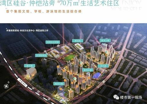 惠州楼市最新爆料,揭秘最新房价走势与热门项目！  第2张