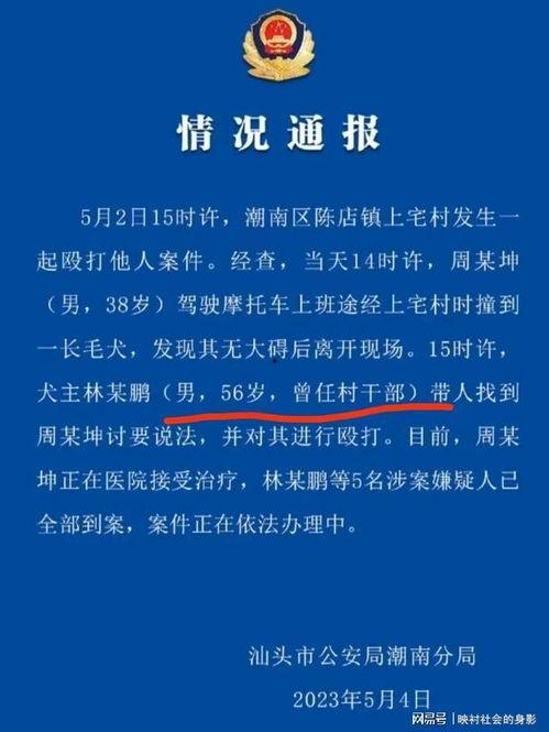 爆料博主被撞视频播放网站,网友热议安全出行