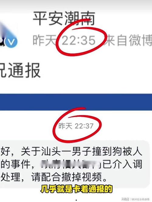 爆料博主被撞视频播放网站,网友热议安全出行  第2张