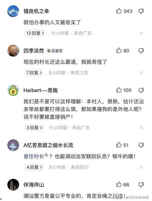 爆料博主被撞视频播放网站,网友热议安全出行  第3张