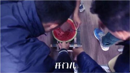 吃瓜娱乐奇葩视频,笑料百出！盘点那些让人捧腹大笑的吃瓜娱乐奇葩视频  第3张