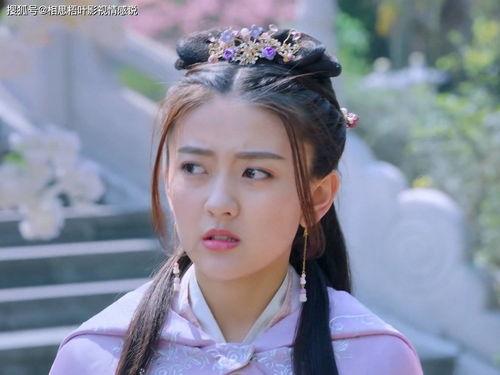 一宠终身简介 最新爆料,揭秘宠物陪伴背后的感人故事与温馨瞬间  第3张