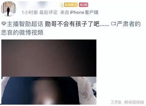 直播爆料智勋视频大全最新,视频大全精彩瞬间大揭秘  第3张