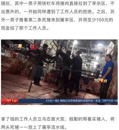 猪肉爆料视频播放大全集,揭秘行业真相与食品安全 第3张 猪肉爆料视频播放大全集,揭秘行业真相与食品安全 第3张