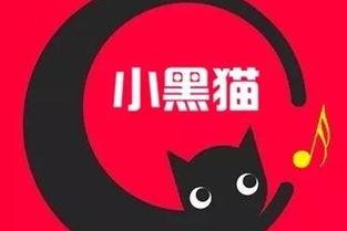 黑喵圈内爆料,揭秘娱乐圈幕后真相