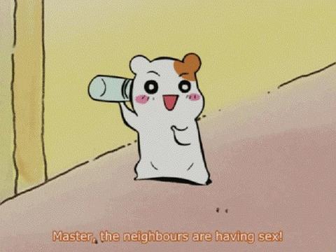 仓鼠管家在线观看,萌宠奇遇记在线观看攻略