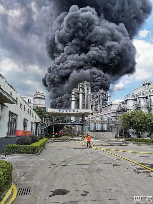 龙岩卓越新能源最新爆料,揭秘未来清洁能源发展新动向 第3张 龙岩卓越新能源最新爆料,揭秘未来清洁能源发展新动向 第3张