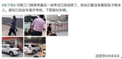 张子枫爆料新闻,娱乐圈幕后真相大揭秘  第2张