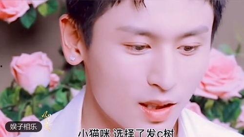 星哥说实话爆料视频全集,揭秘娱乐圈真实内幕 第3张 星哥说实话爆料视频全集,揭秘娱乐圈真实内幕 第3张