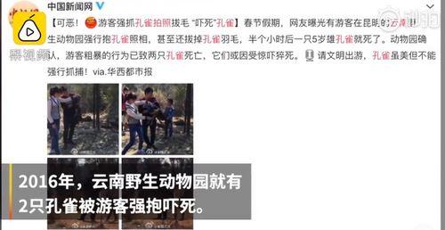 昆明动物园最新爆料,神秘动物亮相，揭秘动物世界新奇趣事  第2张