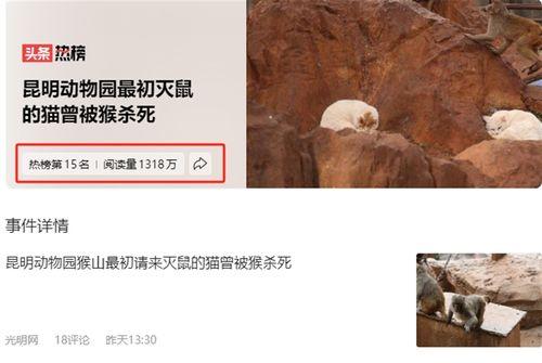 昆明动物园最新爆料,神秘动物亮相，揭秘动物世界新奇趣事  第3张