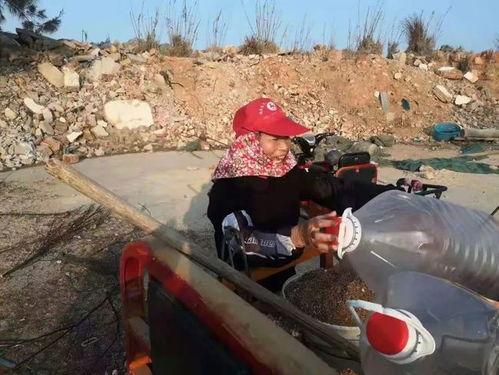 最新爆料采海砂,海砂开采背后的惊人真相与环保挑战