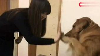 天涯爆料小恶魔视频,小恶魔视频引发热议，真相究竟如何？