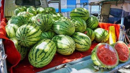 兴化网红吃瓜事件真相,真相背后的网络风波  第3张