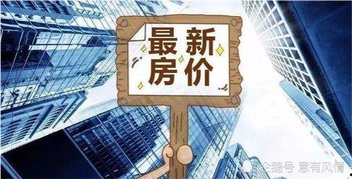 东莞新闻房价爆料事件,揭秘真实楼市动态
