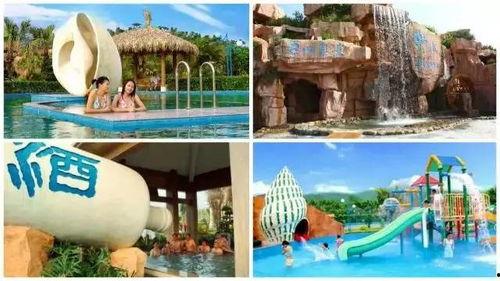 大连温泉明星爆料视频大全,精彩瞬间大盘点